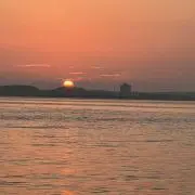 ☆ne-ne☆の画像