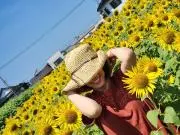 むぎちょこの画像