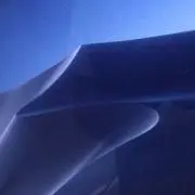 モノシュの画像