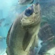 ジャムパン工房の画像
