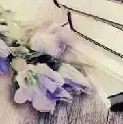 Pom【匿名配送】の画像