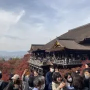 桐生※ペット(フェレット)飼育中の画像