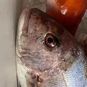 海が大好き！の画像