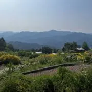 しょう