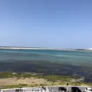 NNの画像