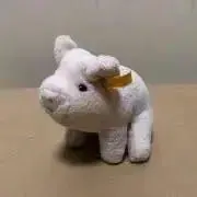 すぬの画像
