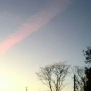 ちゅん