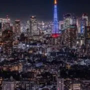 しろの画像