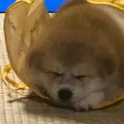 ふなき プロフ読んでね♪