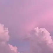ルルの画像