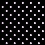 しゃちの画像