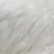 まに【挨拶不要】の画像