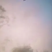 tjm.