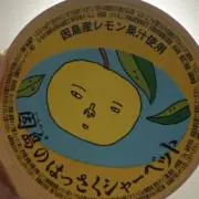 みかんちゃんの画像