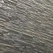 TMの画像
