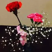 ykr