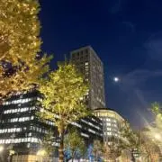 終戦史録 天皇陛下在位60年記念 編纂 外務省 - メルカリ