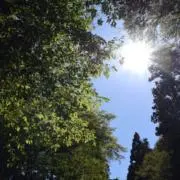 enough./Miihaの画像