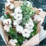 そばの画像
