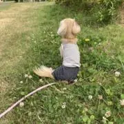 ごまどうふの画像