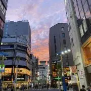 Sotaの画像