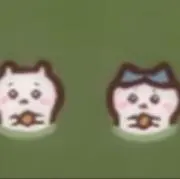マヨの画像