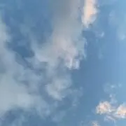 みかん