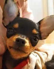 あっこの画像