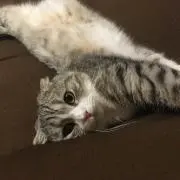 なおの画像