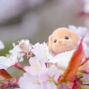 砂糖の画像