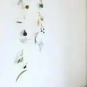 Societ__の画像
