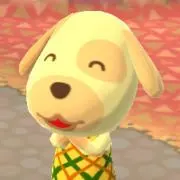 れんれんの画像