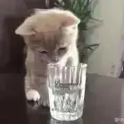 まーこの画像