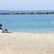 うさぎの画像