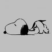 みその画像