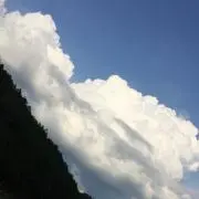 ぷっちんぷりん