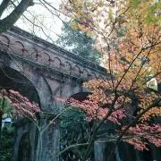 たけの画像