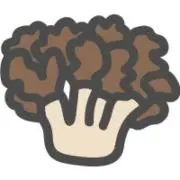 まいたけの画像