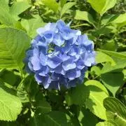 Miii♡おまとめ割します！の画像