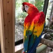 ぼのぼのの画像