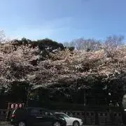 uu...の画像