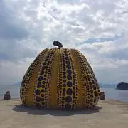 たろの画像