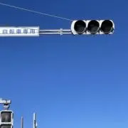たいたんの画像