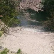 にっしー11