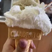 Ccの画像