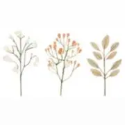 mo【購入前プロフィール一読願います】の画像