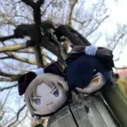 黒蜜の画像
