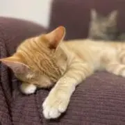 miwa☺︎の画像