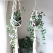まりめっこの画像