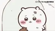 林檎の画像